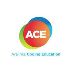 Aralinks Coding Education logo